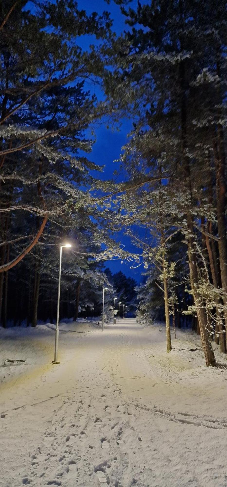 Rasos Vila Palanga Bagian luar foto